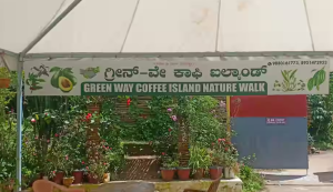 Greenway Coffee Island Plantation Tour