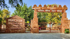 Machiya Safari Park, Jodhpur