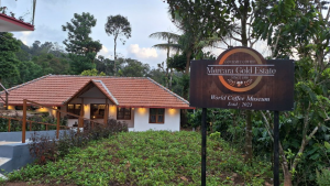 Mercara Gold Estate Coffee Plantation