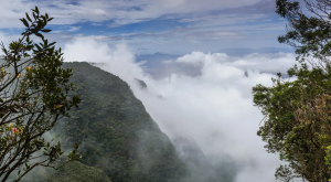 Silent Valley View Point