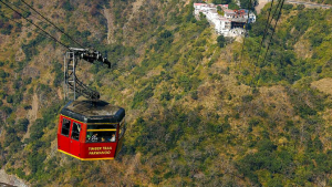 Timber Trail Kasauli