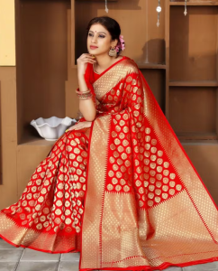 Banarasi Saree