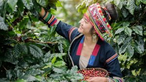 What is the Traditional Dress of Bhutia and Lepcha Tribes in Sikkim