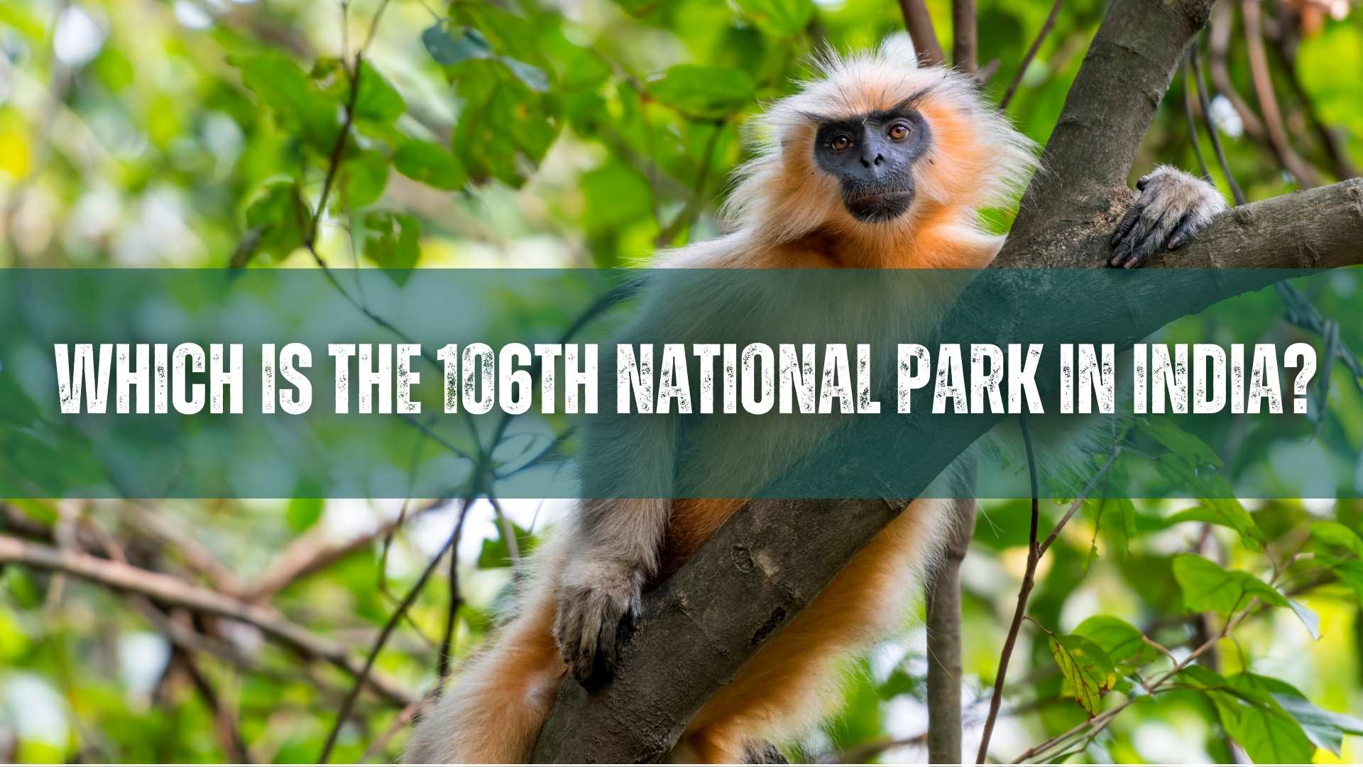 106th national park in india