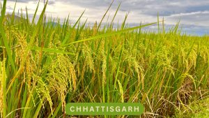 Chhattisgarh