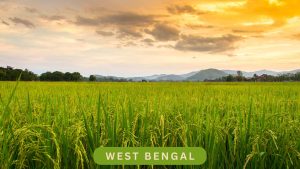 West Bengal