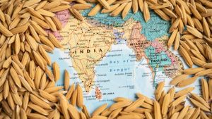 Why Is Rice Important to India’s Agricultural Economy