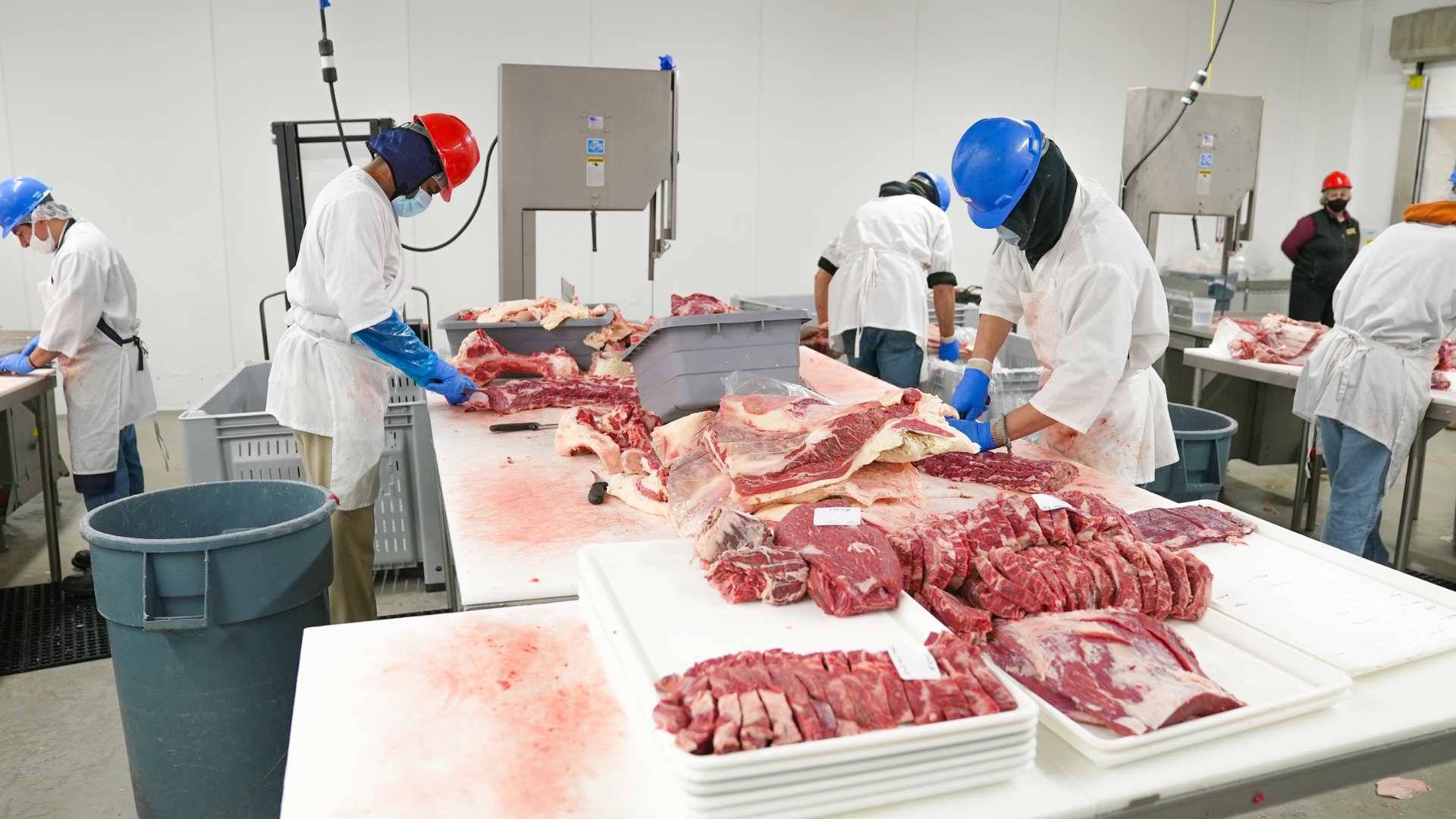 Top 10 Largest Beef Production in India | Biggest Beef Industry Hubs