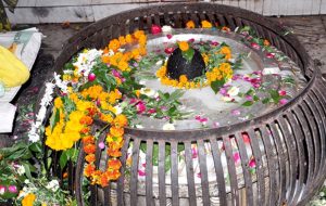 Shri Nageshwar Nath Mandir