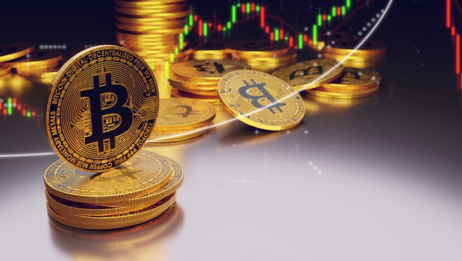 Travelling Through Delhi with Cryptocurrency 